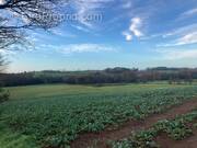 Commerce à PLUVIGNER