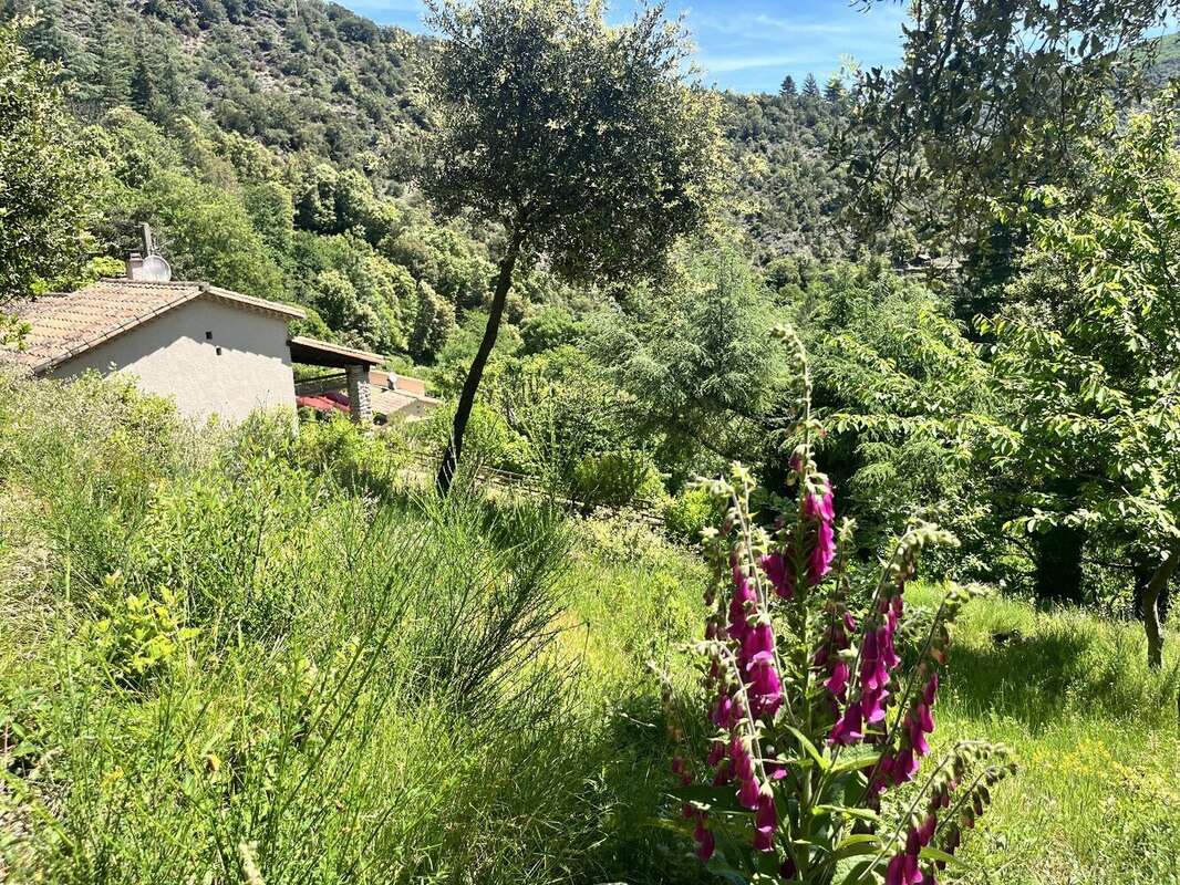 Maison à LES PLANTIERS