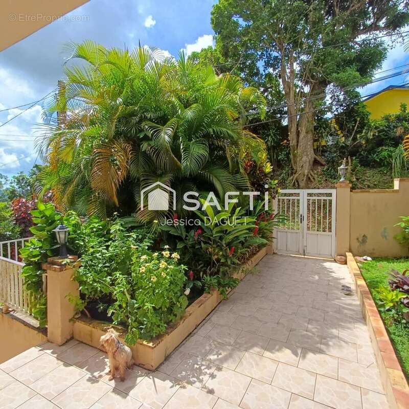 Photo 3 - Maison à SAINT-JOSEPH