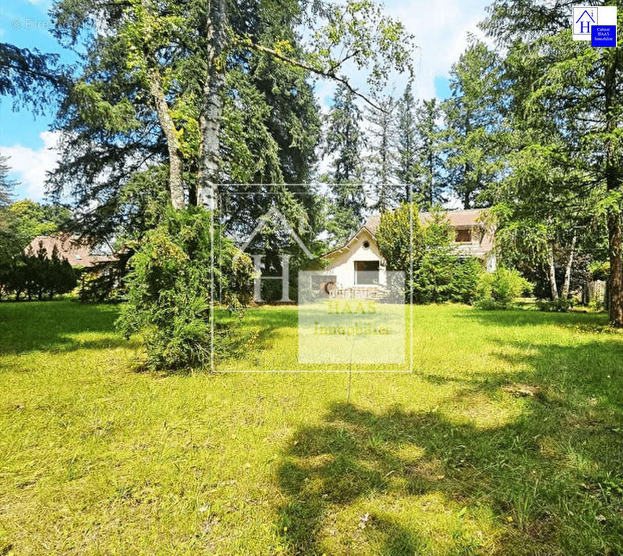 Maison jardin - Maison à ORLEANS