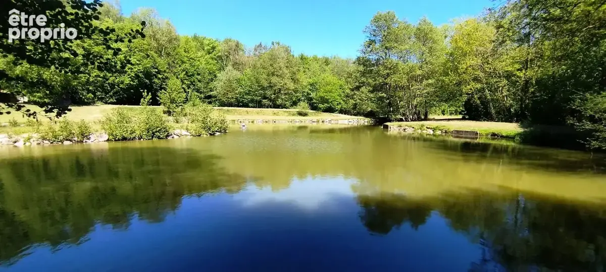Pour amoureux de la nature - photo 7