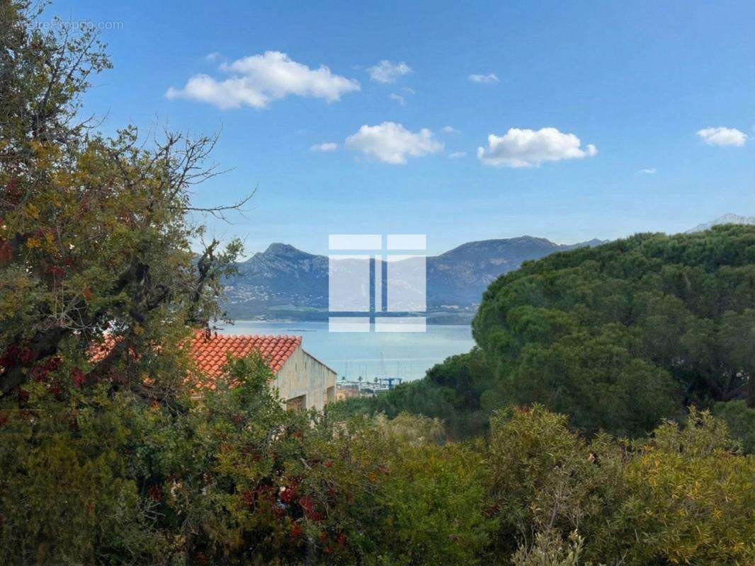 Appartement à CALVI