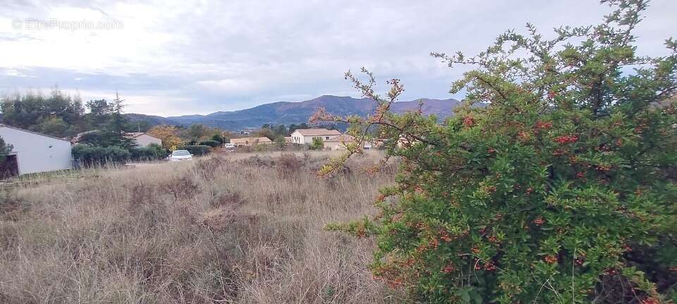 Terrain à LES ASSIONS