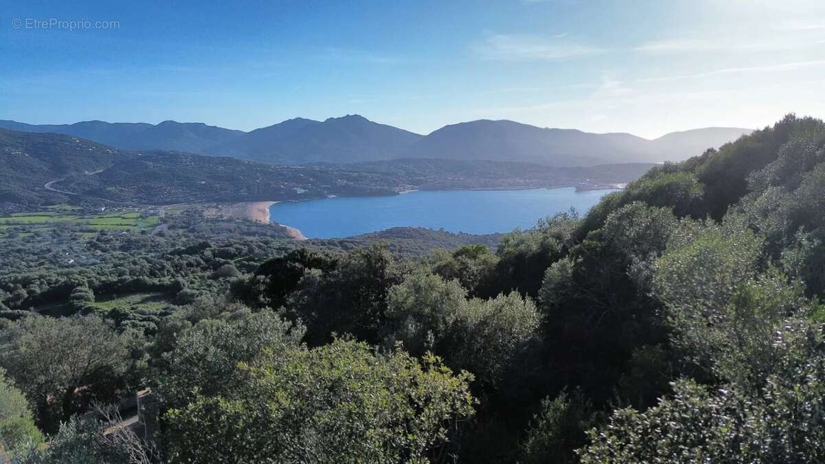 Terrain à OLMETO