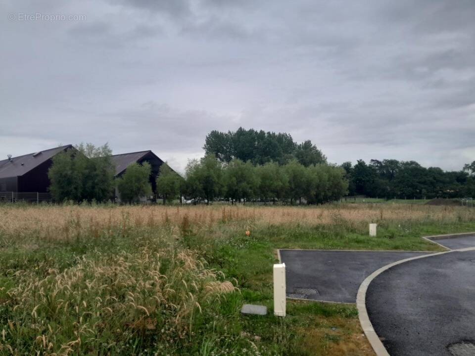 Terrain à WIERRE-EFFROY