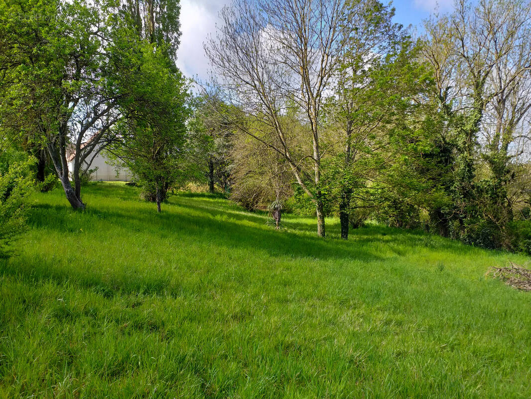 Terrain à CREPY-EN-VALOIS