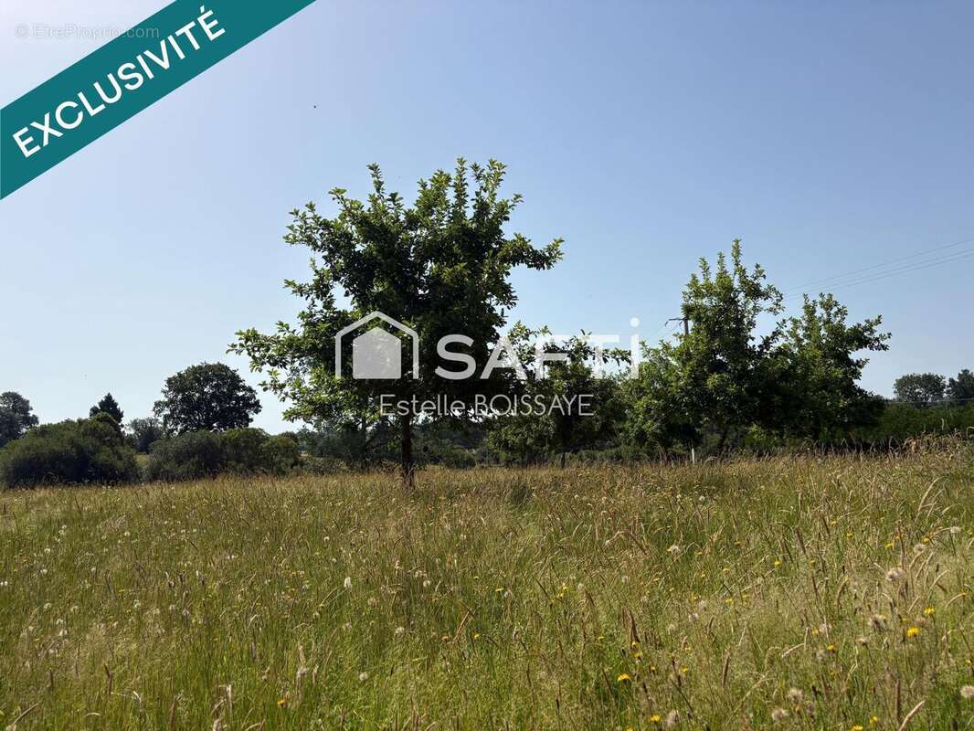 Maison 70 m² à Le Mesnil-Auzouf  - photo 6