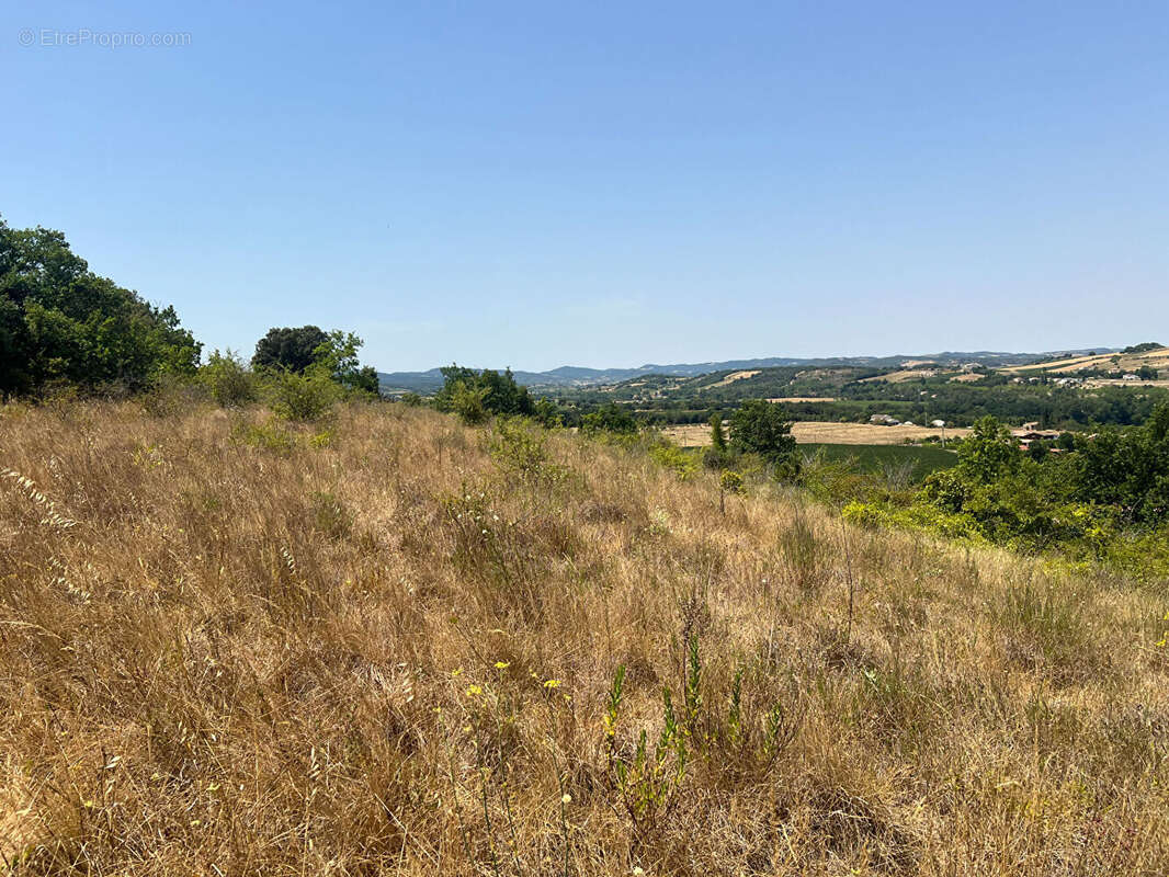 Terrain à bâtir Limoux 14700 m² - photo 14