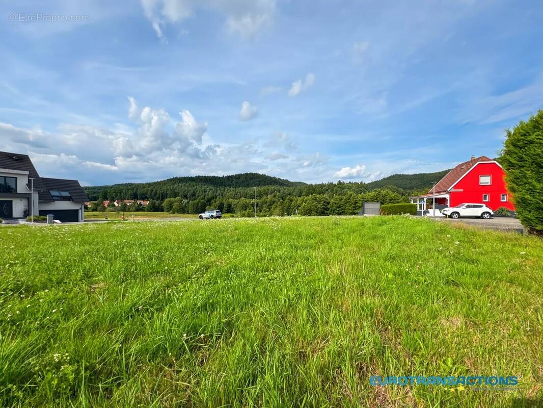 Terrain à DAMBACH