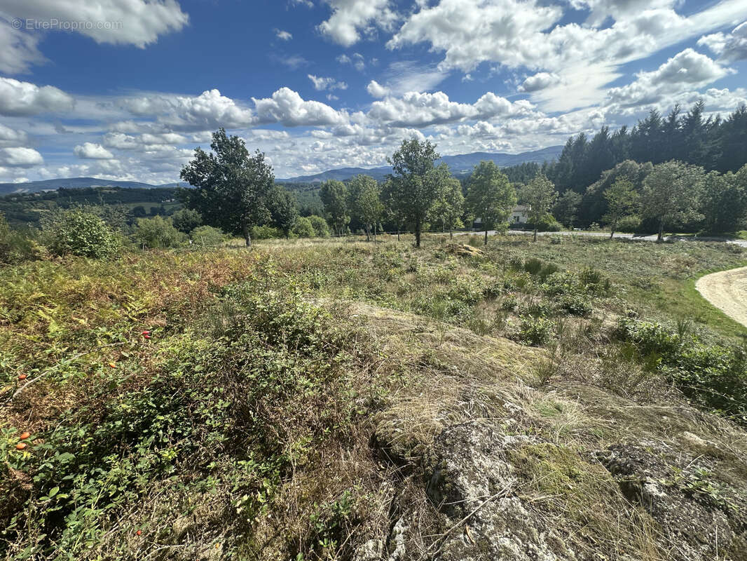 Terrain à PALLADUC
