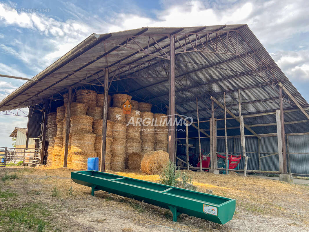 Superbe ancien corps de ferme sur 4ha12ca avec 1ha9 bois-taillis - photo 8