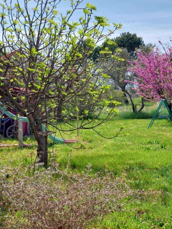 Maison à LE CANNET-DES-MAURES