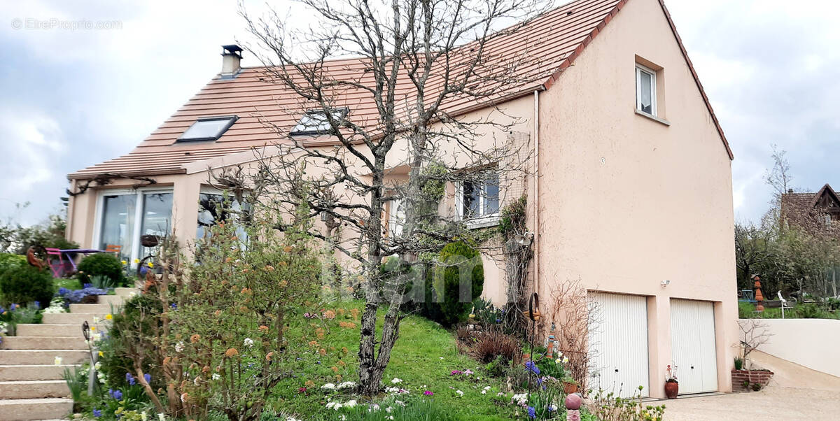 Maison à VILLEFARGEAU