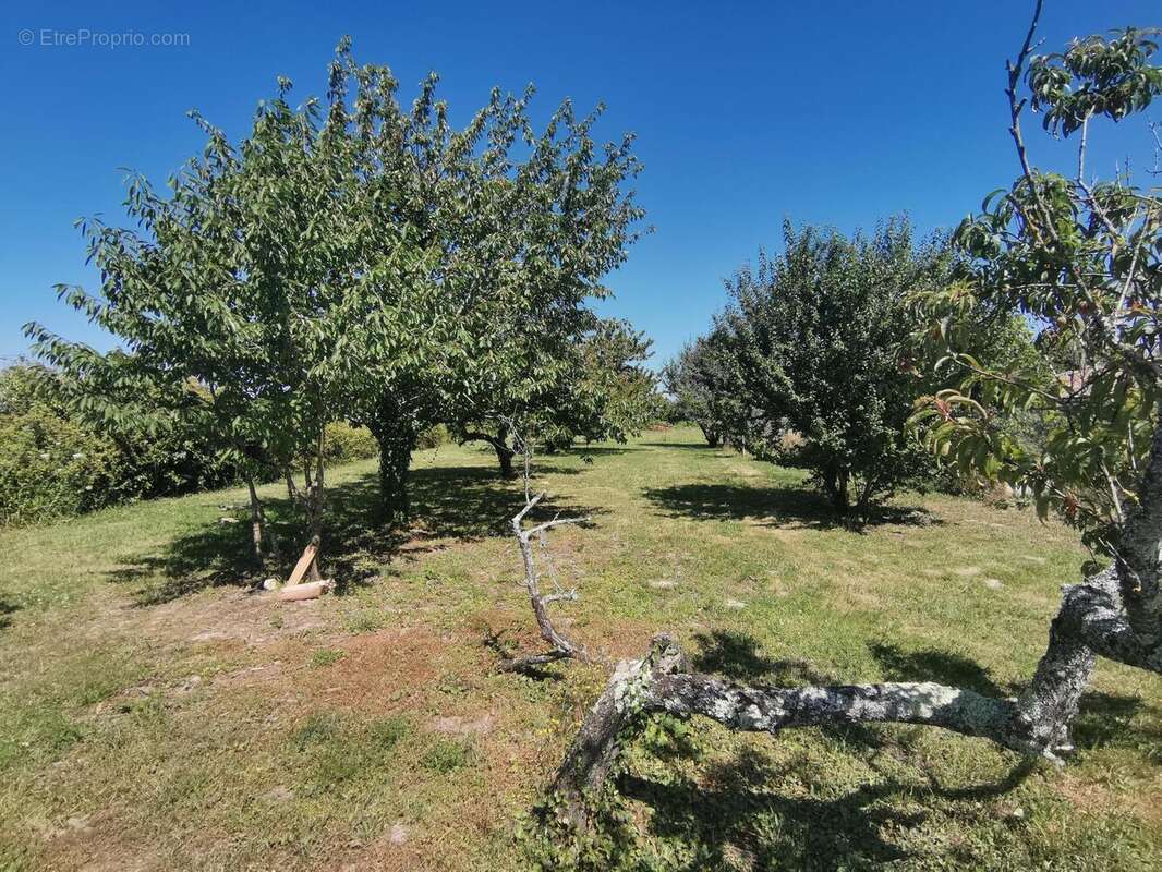 Photo 9 - Maison à REIGNAC