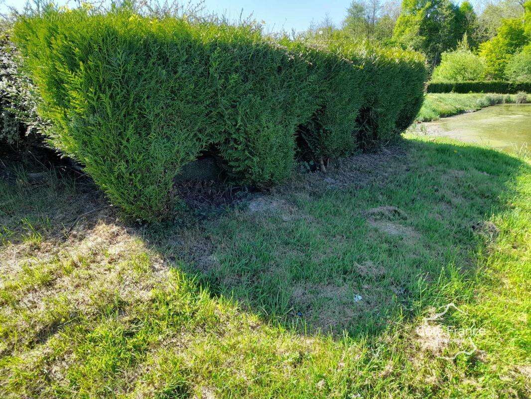 Terrain à FERON