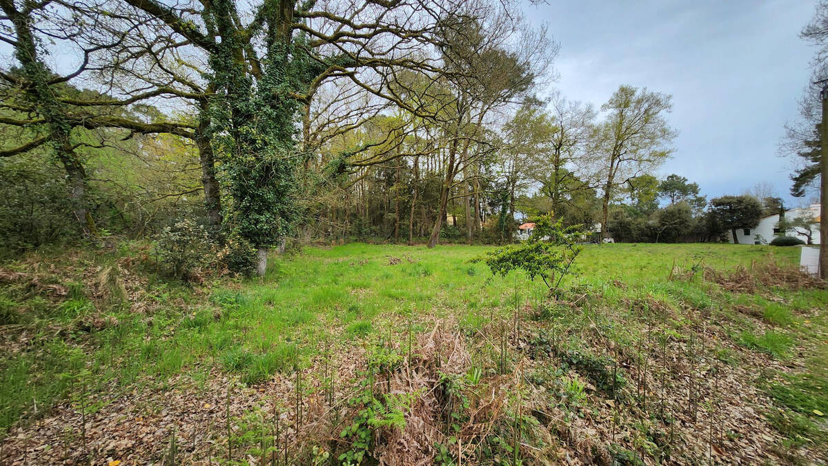 Terrain à SAINT-HILAIRE-DE-RIEZ