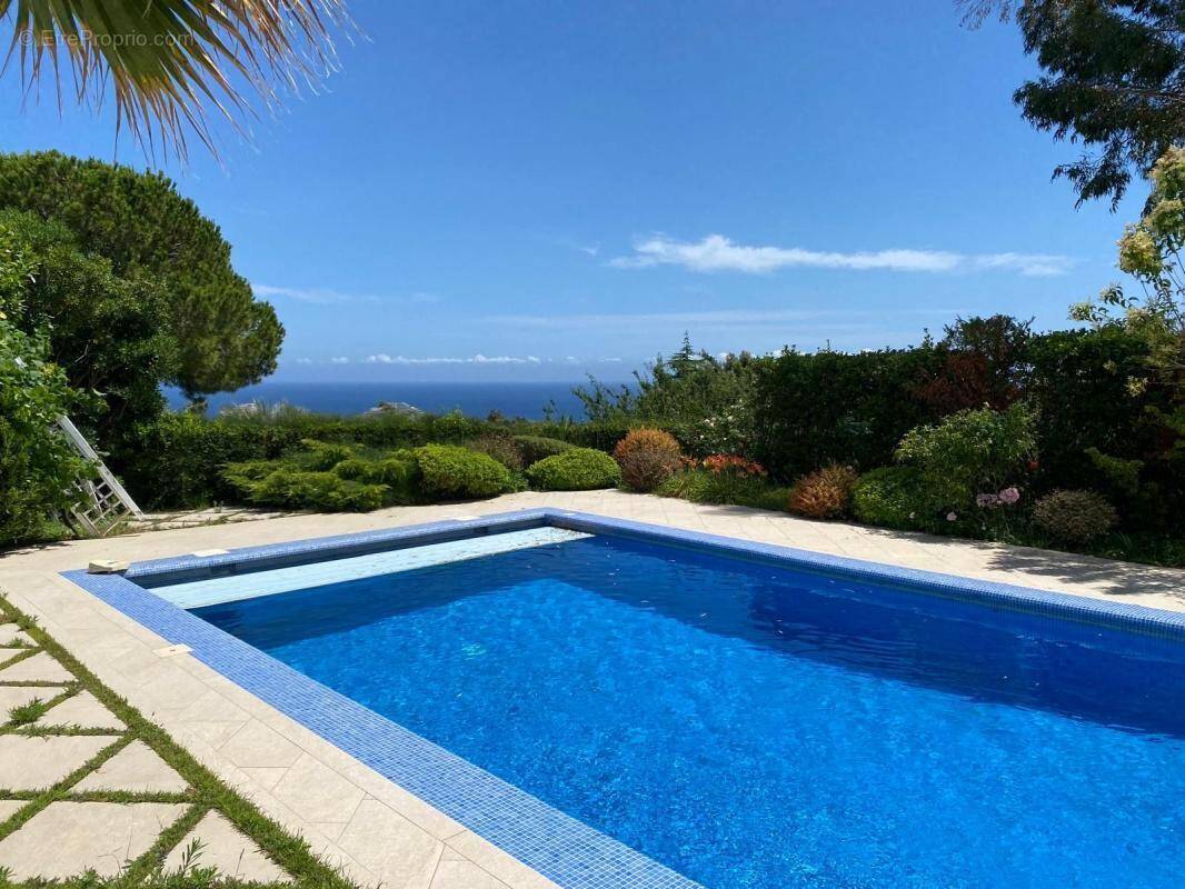 Maison à VILLENEUVE-LOUBET