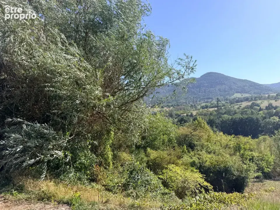 Terrain à VILLE