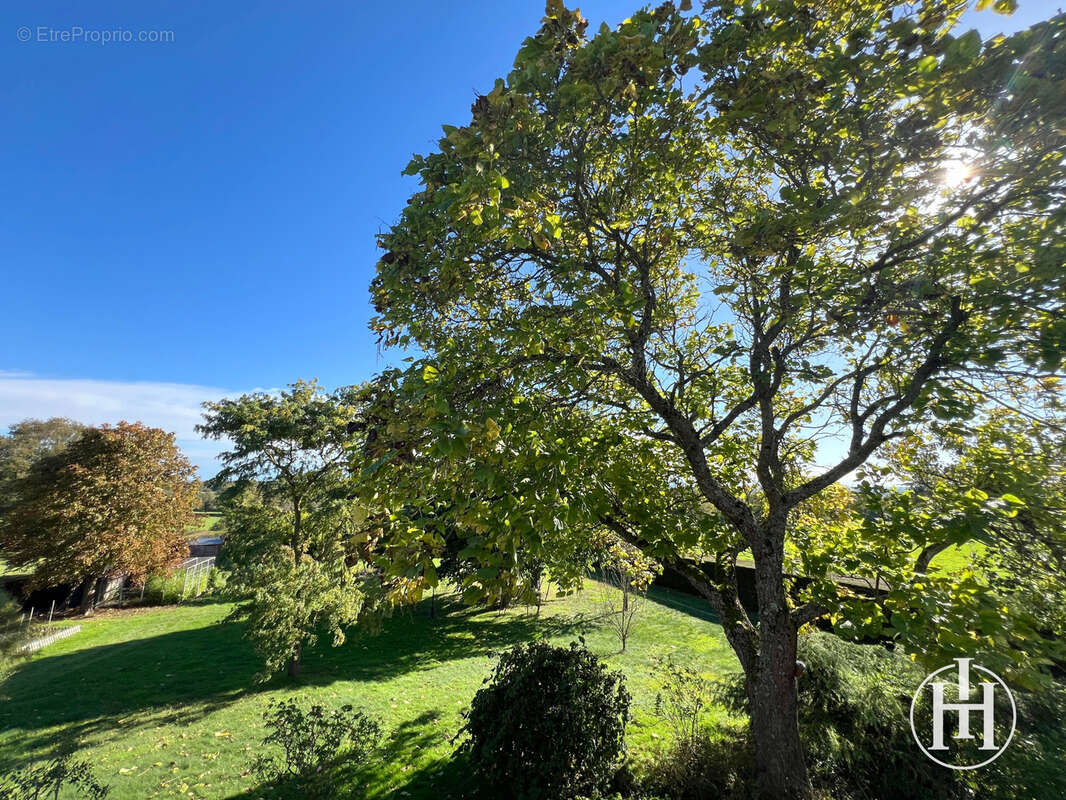 Maison à SAINT-PIERRE-LES-ETIEUX