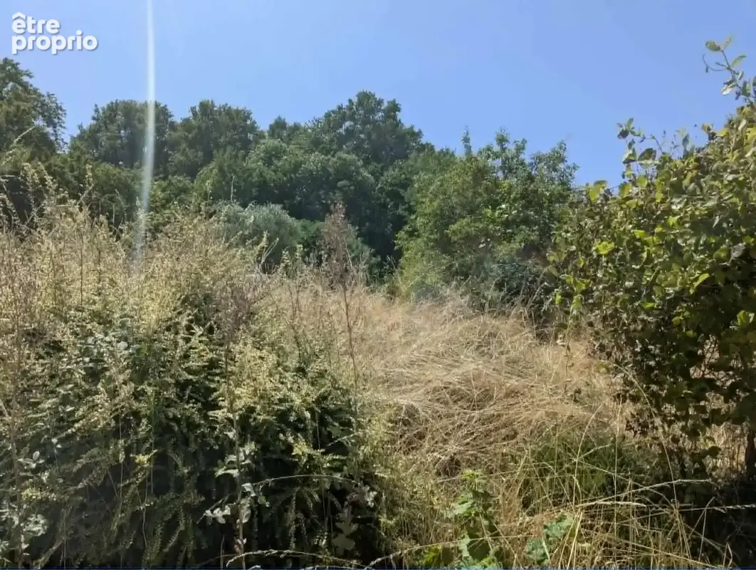Charmante propriété de campagne avec 5 chambres et terrain - photo 11