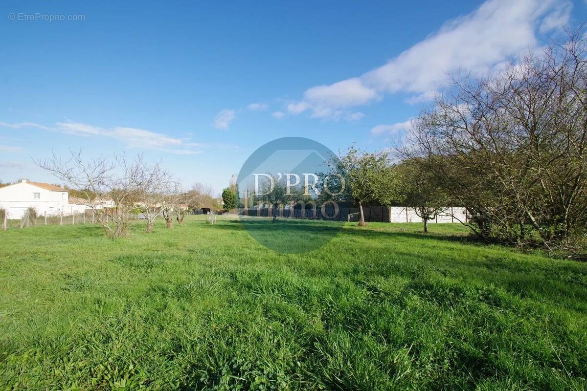 Terrain à LA HAIE-FOUASSIERE