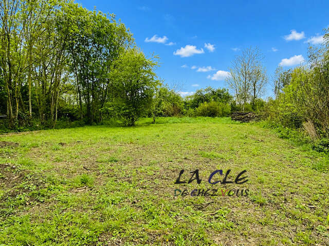 Pavillon de plain-pied - photo 6