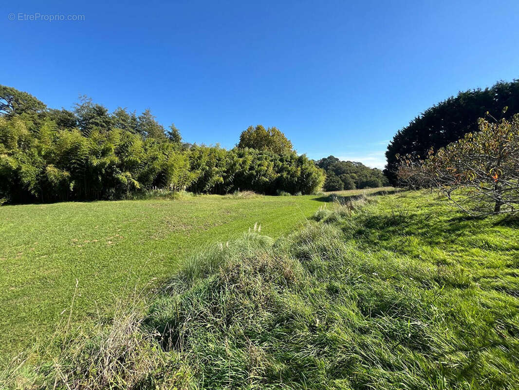 Terrain à BIARRITZ
