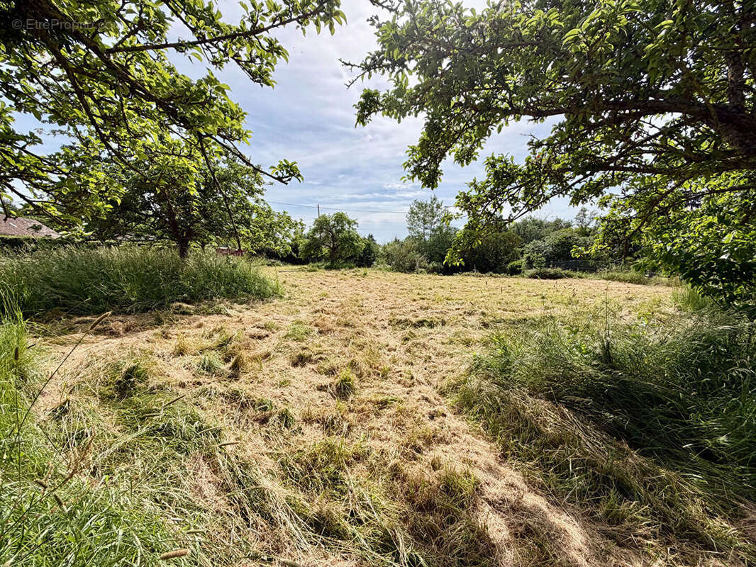 Terrain à DAMVILLE