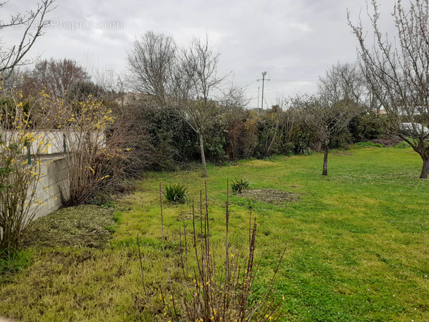 Terrain à SALLES-SUR-MER