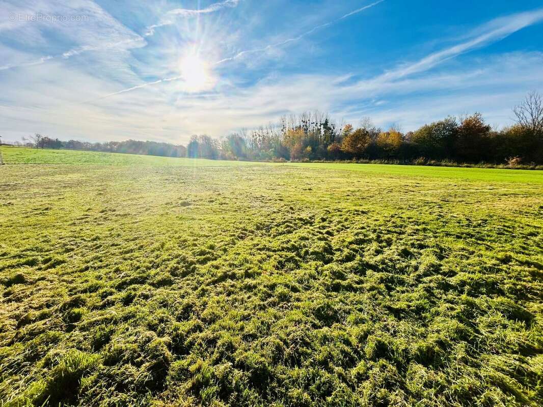 Terrain à NEUVY