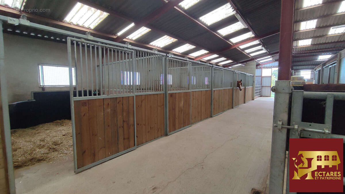 Maison à SAINT-BONNET-DE-JOUX