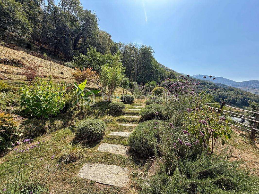 Propriété de charme au cœur des Baronnies, au calme absolu, avec fort potentiel - photo 12