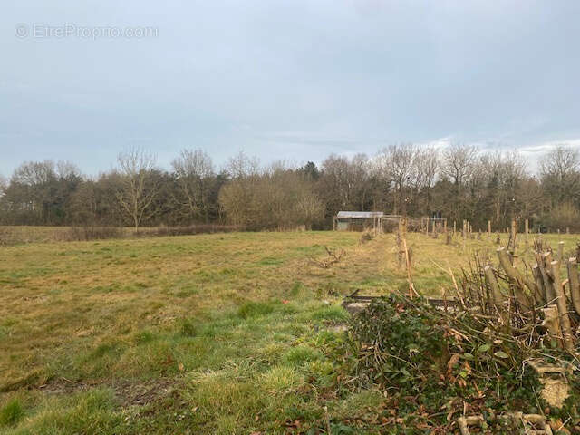Terrain à TALMONT-SAINT-HILAIRE