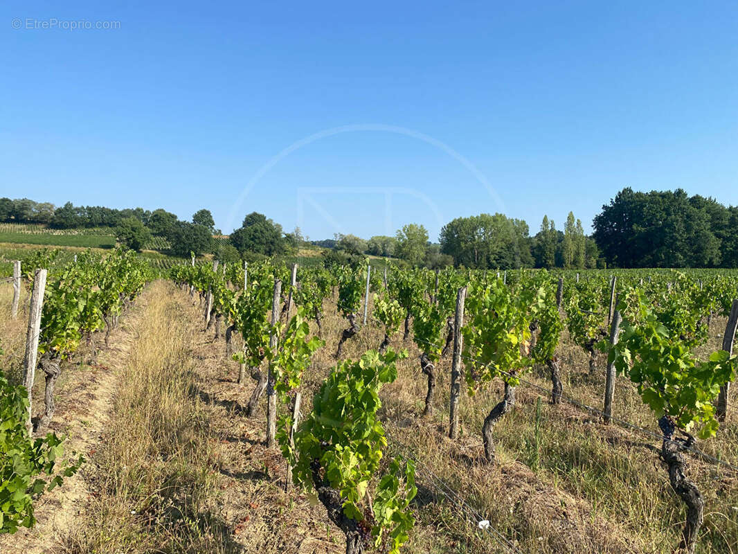Projet pour investisseur:  Maison en pierre à renover - photo 5