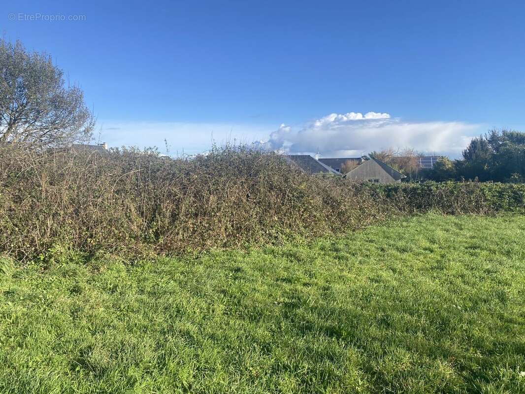 Terrain à PLOUARZEL