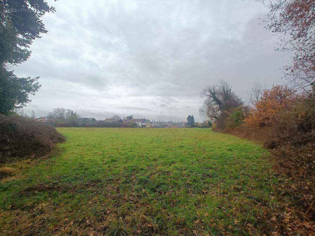 Terrain à BORDERES-SUR-L'ECHEZ