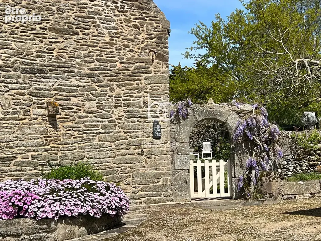 Maison à DAMGAN