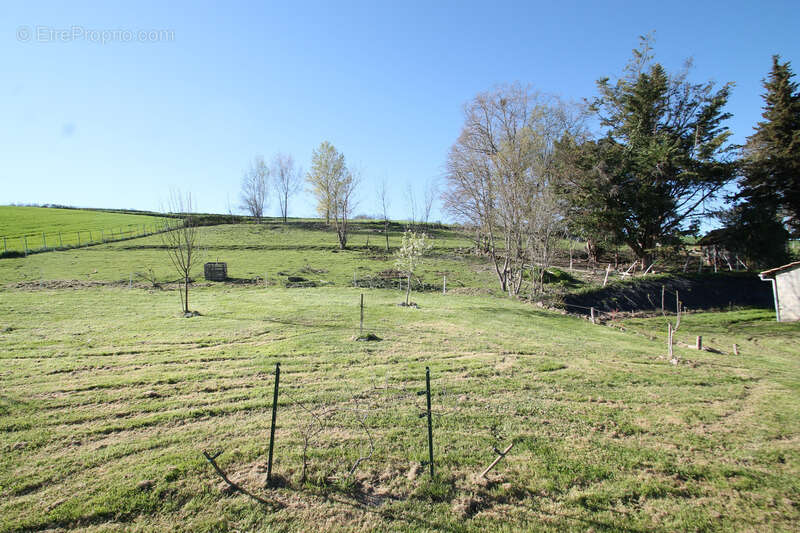 Maison à vendre 4 pièces 120 m² proche de MARMANDE (47)- Dépendances- Terrain 11 000m² - photo 16