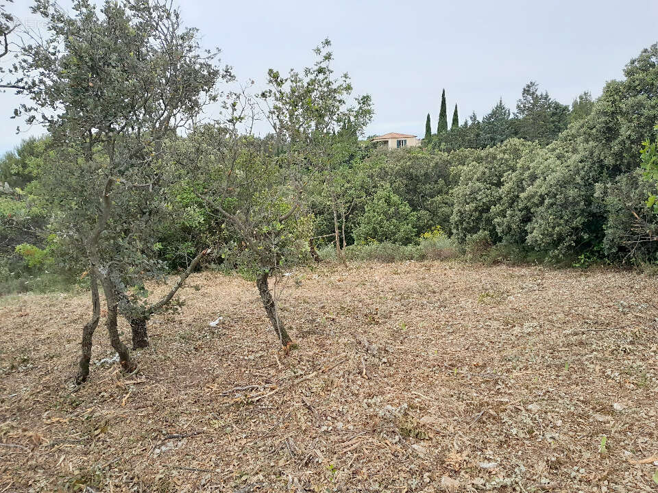 Terrain à VILLENEUVE-LES-AVIGNON