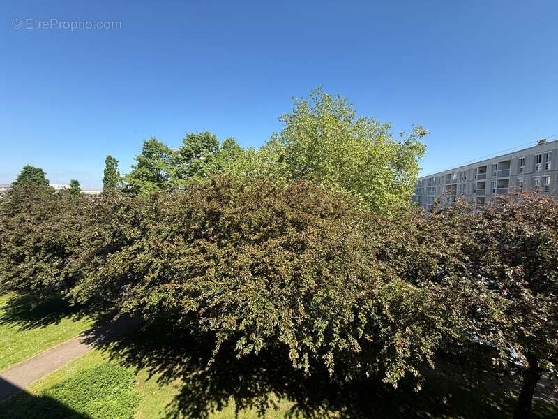 Appartement à MONT-SAINT-AIGNAN