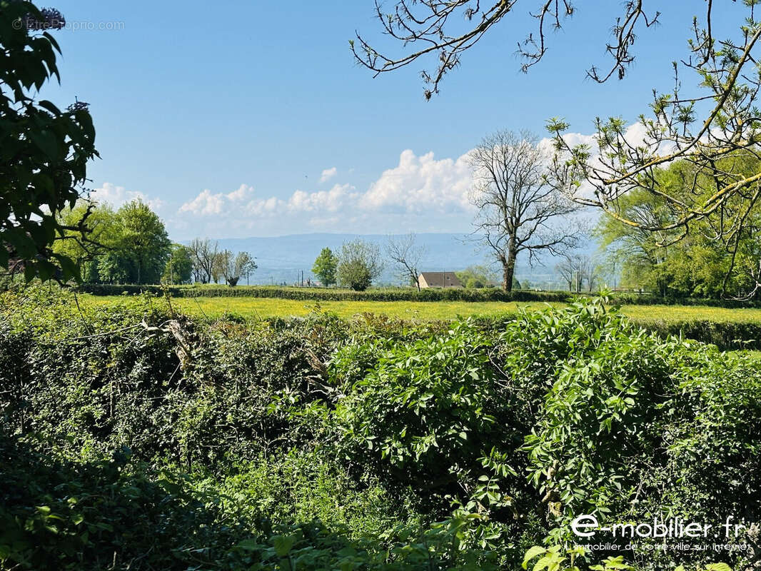 Maison à SAINT-JULIEN-DE-JONZY