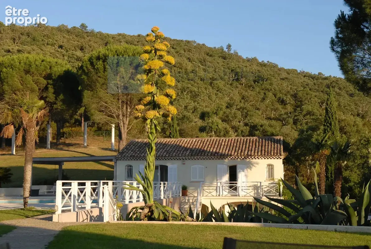 Propriété unique de 27 hectares au calme - superbes vues - photo 9