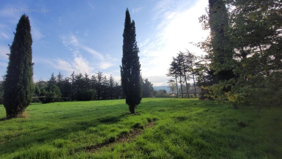 Terrain à ALLAN