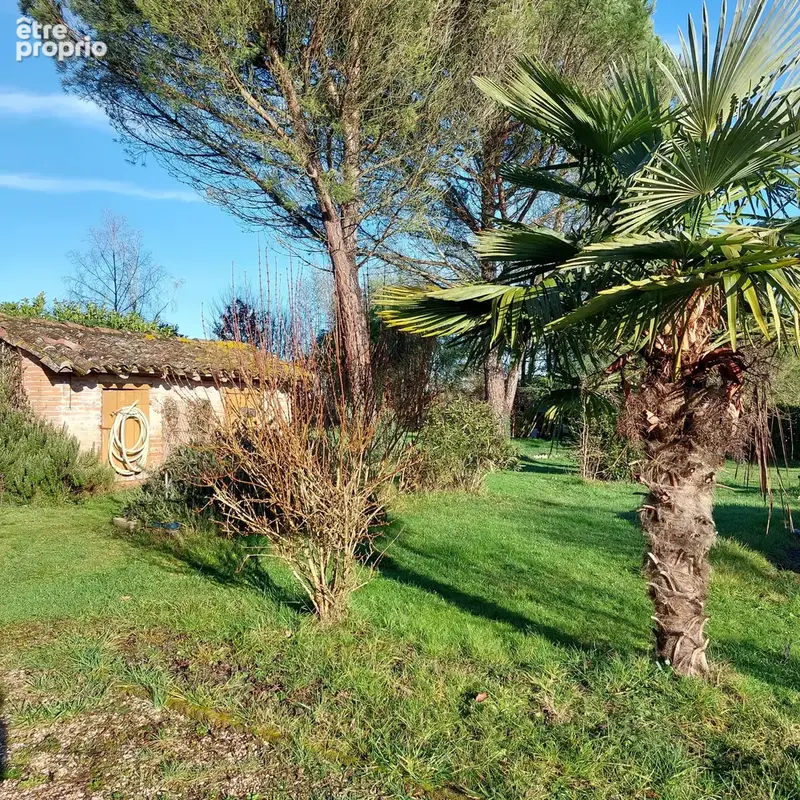 Maison à vendre 7 pièces MONTAUBAN (82) avec hangar de 150m², 6861m² de terrain avec une partie boisée - photo 27