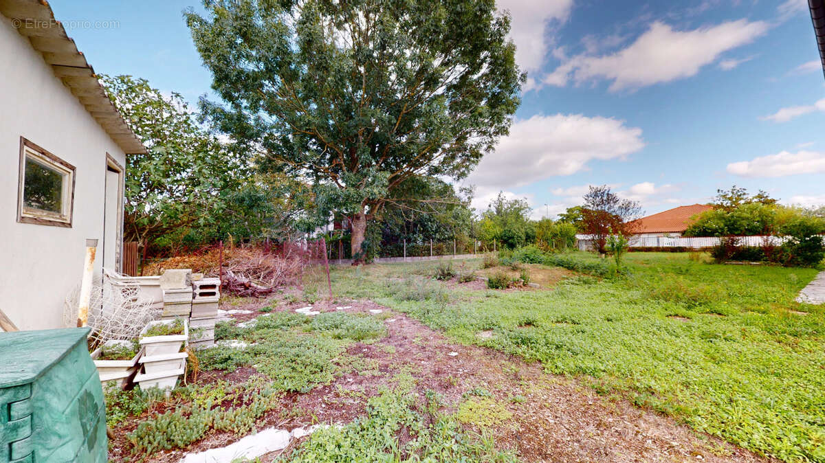 Terrain à LA SALVETAT-SAINT-GILLES