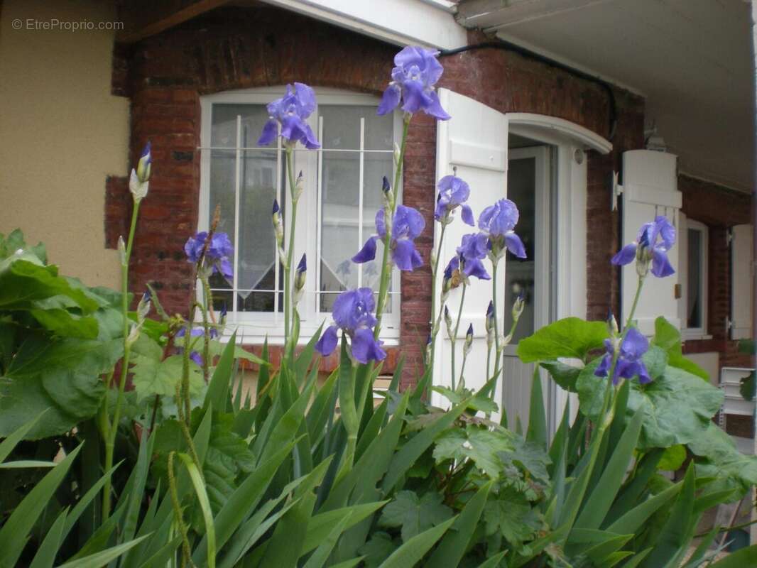 Photo 2 - Appartement à VILLERS-SUR-MER