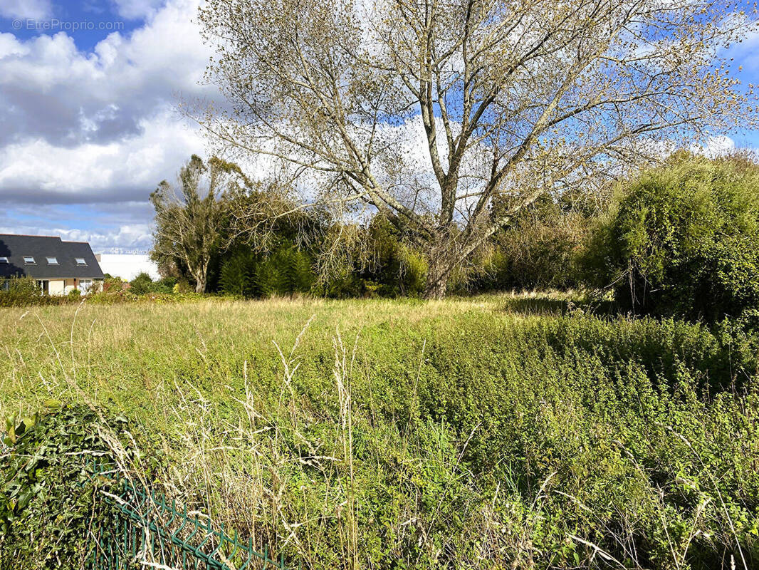 Terrain à LOCTUDY