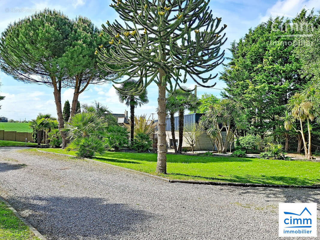 Parc Arboré avec différentes essences - Maison à JANZE