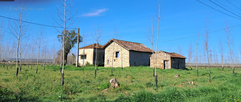 Maison à MONTESQUIEU