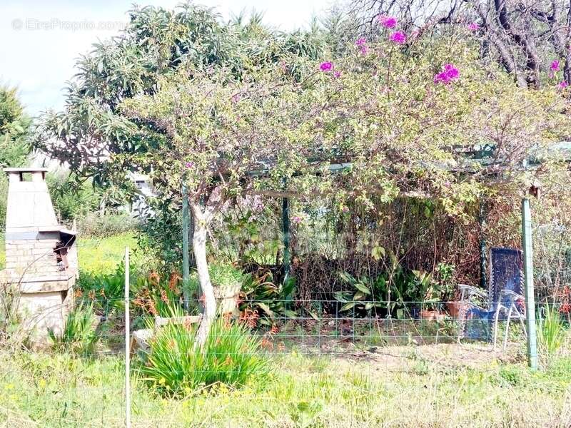 Dpt Corse (20), à vendre SAN NICOLAO maison plain pied avec terrain - photo 2